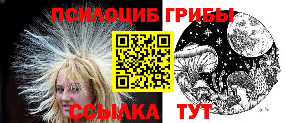 Иркутск  Галлюциногенные грибы мицелий  Вход с VPN 