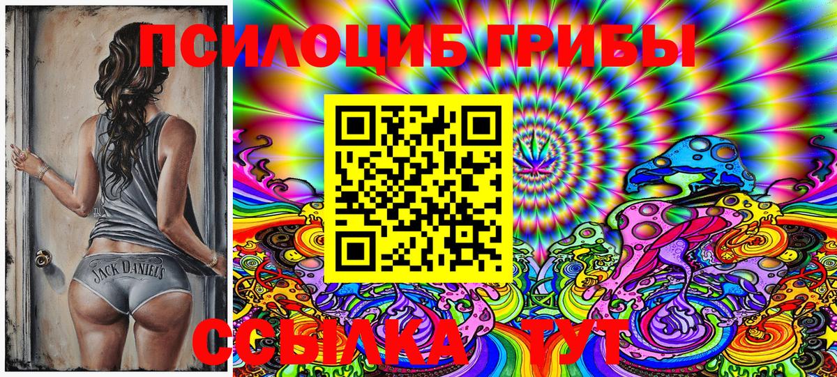 Псилоцибиновые грибы Cubensis Иркутск